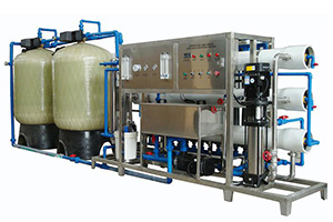 Small Bottled Beverage Filling and Packaging Line